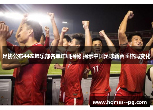 足协公布44家俱乐部名单详细揭秘 揭示中国足球新赛季格局变化