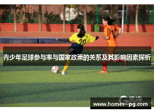 青少年足球参与率与国家政策的关系及其影响因素探析
